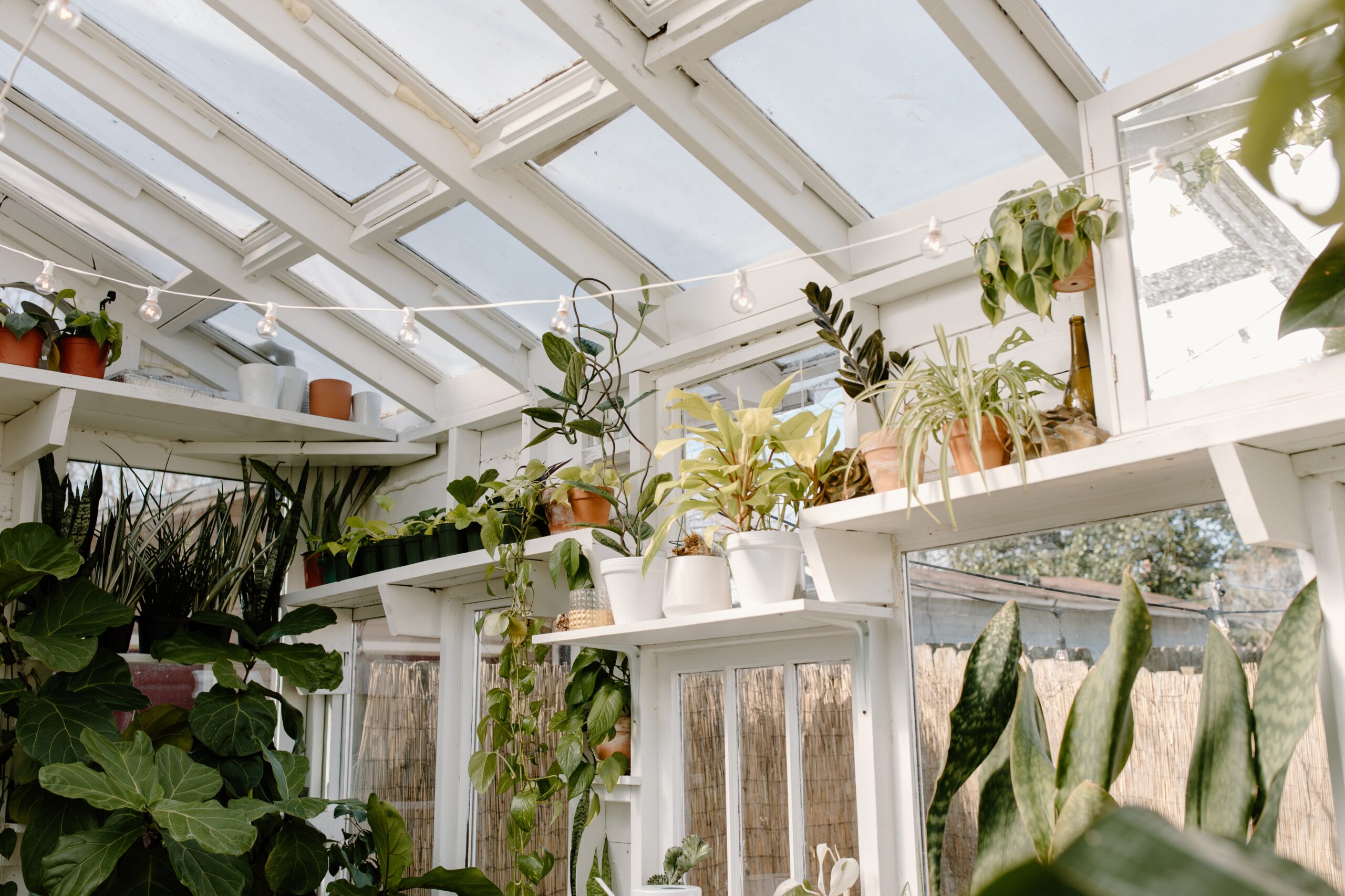 Bilden visar ett växthus med glastak. Polykarbonatskivor och plasttak för växthus och plasttak för uterum.