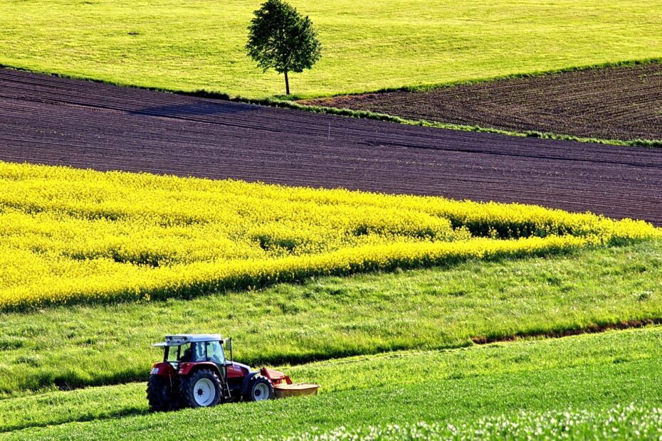 Bilden visar en traktor på ett fält. Harv, slåtter och snökedjor för traktor är vanliga traktortillbehör som går att köpa online.