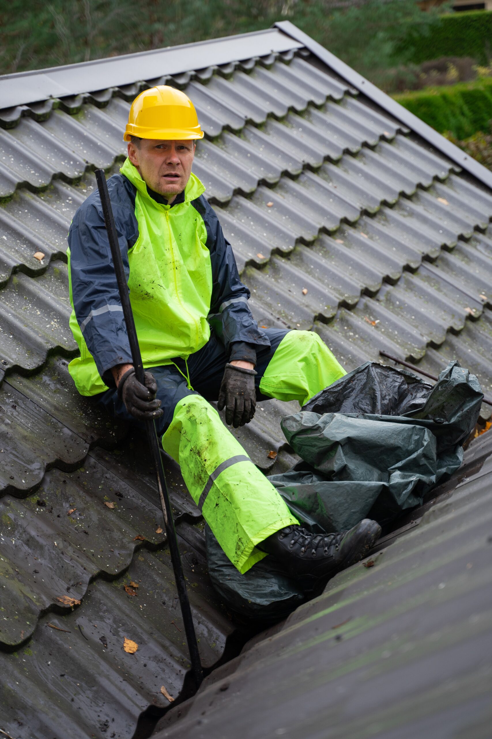 Varför du borde göra en anti-algbehandling för ditt tak
